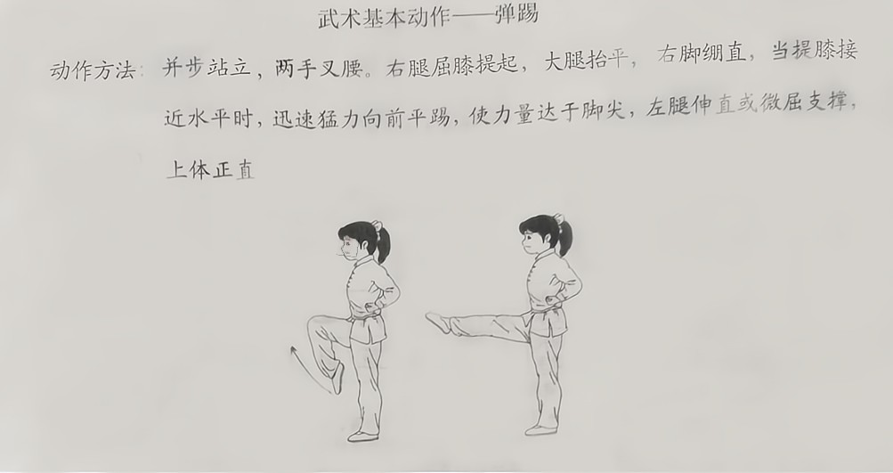 2023年上半年教师资格证考试《教育教学知识与能力》（小学）题（考生回忆版）(图6)