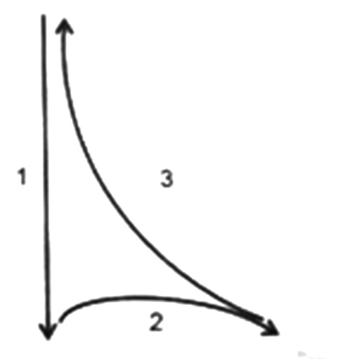 2019年上半年教师资格证考试《初中音乐》真题(图20)