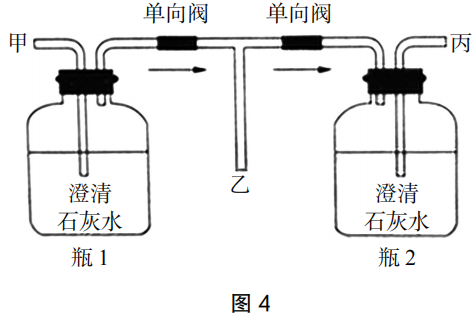 2019年下半年教师资格证考试《初中生物》题(图4)