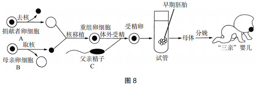 2019年下半年教师资格证考试《初中生物》题(图9)