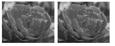 2019年下半年教师资格证考试《初中信息技术》题(图9)