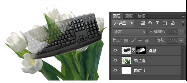 2020年下半年教师资格证考试《初中信息技术》题(图8)