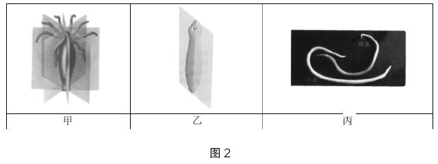 2020年下半年教师资格证考试《初中生物》题（考生回忆版）(图2)