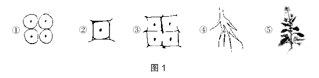 2020年下半年教师资格证考试《初中生物》题（考生回忆版）(图1)