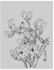 2020年下半年教师资格证考试《初中美术》题（考生回忆版）(图6)