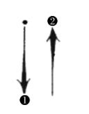2021年下半年教师资格证考试《初中音乐》题（考生回忆版）(图23)