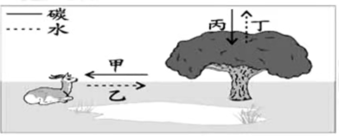2021年下半年教师资格证考试《初中生物》题（考生回忆版）(图3)
