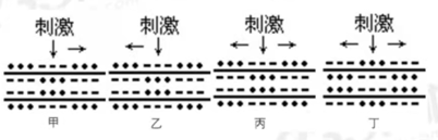 2021年下半年教师资格证考试《初中生物》题（考生回忆版）(图6)