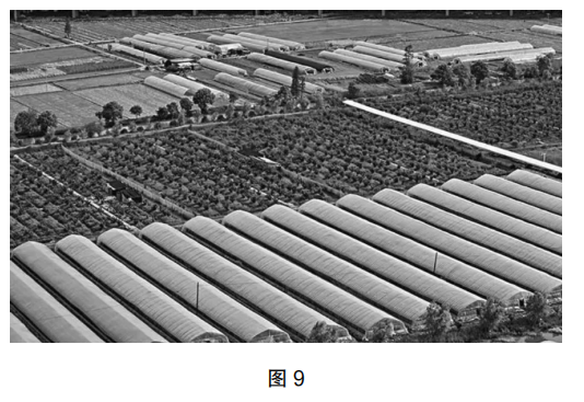 2022年上半年教师资格证考试《初中地理》题（考生回忆版）(图10)