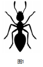 2023年上半年教师资格证考试《初中生物》题(考生回忆版)(图1) 2023年上半年教师资格证考试《初中生物》题(考生回忆版)(图1)