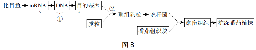 2019年上半年教师资格证考试《高中生物》题(图9)