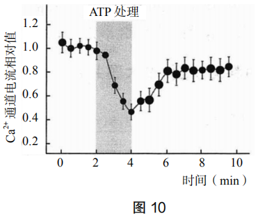 2019年上半年教师资格证考试《高中生物》题(图12)