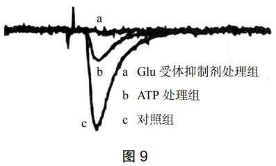 2019年上半年教师资格证考试《高中生物》题(图11)