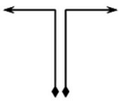 2019年下半年教师资格证考试《高中体育与健康》题(图3)