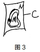 2020年下半年教师资格证考试《高中生物》题(考生回忆版)(图3) 2020年下半年教师资格证考试《高中生物》题(考生回忆版)(图3)