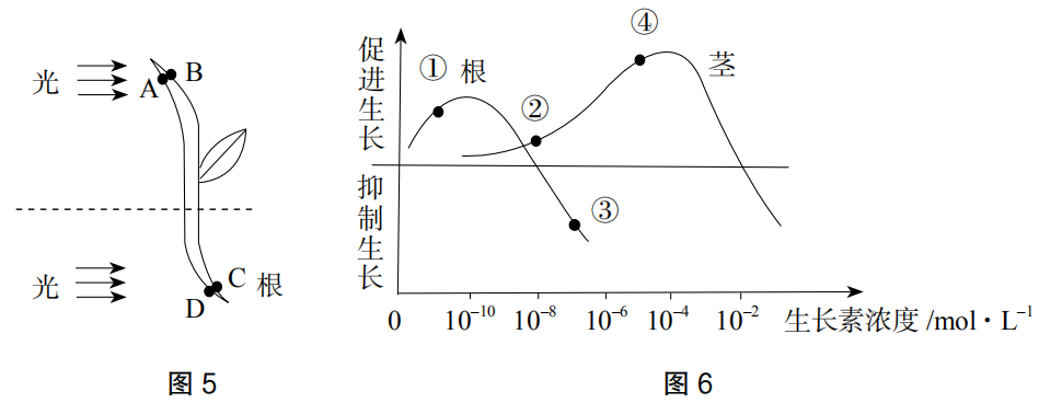 2020年下半年教师资格证考试《高中生物》题(考生回忆版)(图5) 2020年下半年教师资格证考试《高中生物》题(考生回忆版)(图5)
