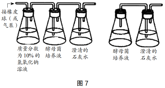 2020年下半年教师资格证考试《高中生物》题(考生回忆版)(图6) 2020年下半年教师资格证考试《高中生物》题(考生回忆版)(图6)