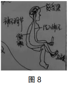 2020年下半年教师资格证考试《高中生物》题(考生回忆版)(图7) 2020年下半年教师资格证考试《高中生物》题(考生回忆版)(图7)