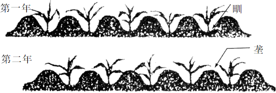2020年下半年教师资格证考试(高中历史)题(图1) 2020年下半年教师资格证考试(高中历史)题(图1)