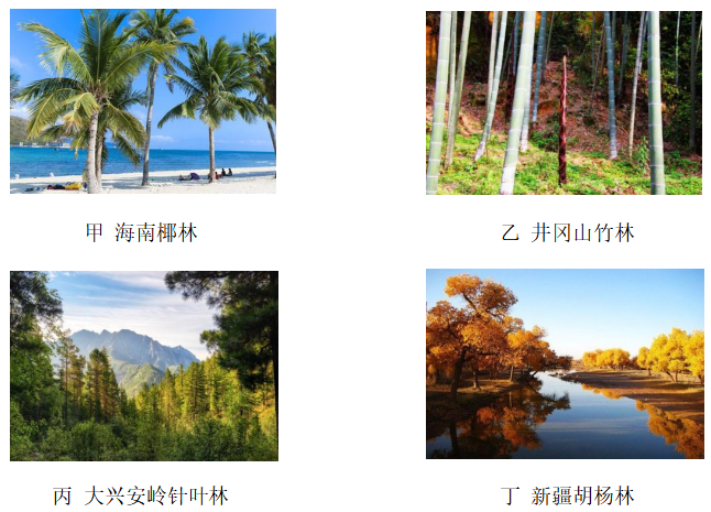 2020年下半年教师资格证考试《高中地理》题(图1) 2020年下半年教师资格证考试《高中地理》题(图1)