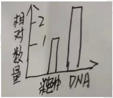 2021年下半年教师资格证考试《高中生物》题(考生回忆版)(图8) 2021年下半年教师资格证考试《高中生物》题(考生回忆版)(图8)