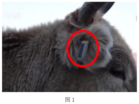 2021年下半年教师资格证考试《高中信息技术》题(图1) 2021年下半年教师资格证考试《高中信息技术》题(图1)