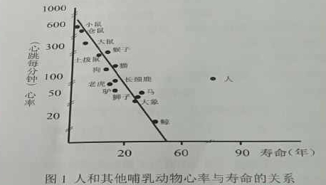 2022年上半年教师资格证考试《高中体育与健康》题(图1) 2022年上半年教师资格证考试《高中体育与健康》题(图1)