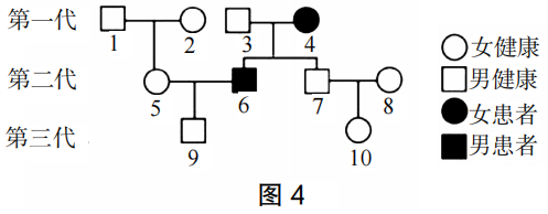 2023年上半年教师资格证考试《高中生物》题(考生回忆版)(图11) 2023年上半年教师资格证考试《高中生物》题(考生回忆版)(图11)