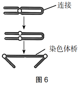 2023年上半年教师资格证考试《高中生物》题(考生回忆版)(图15) 2023年上半年教师资格证考试《高中生物》题(考生回忆版)(图15)
